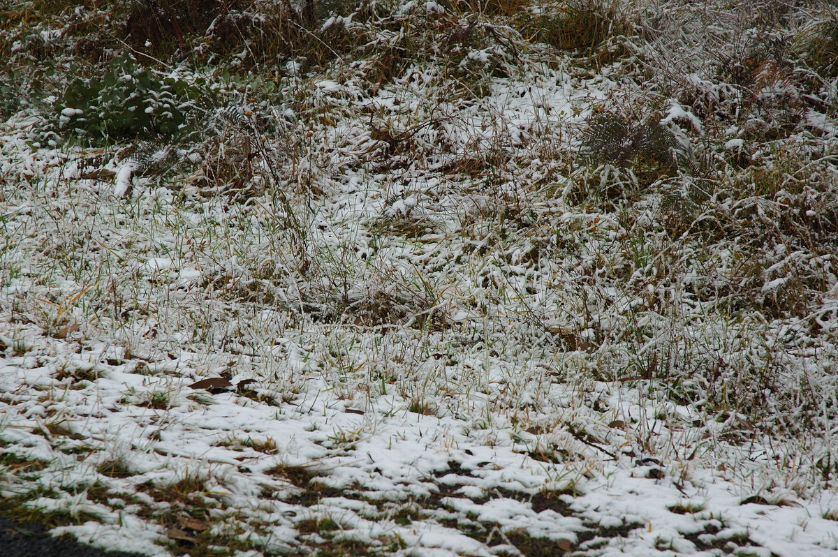 snow snow_pictures : Ben Lomond, NSW   28 June 2007