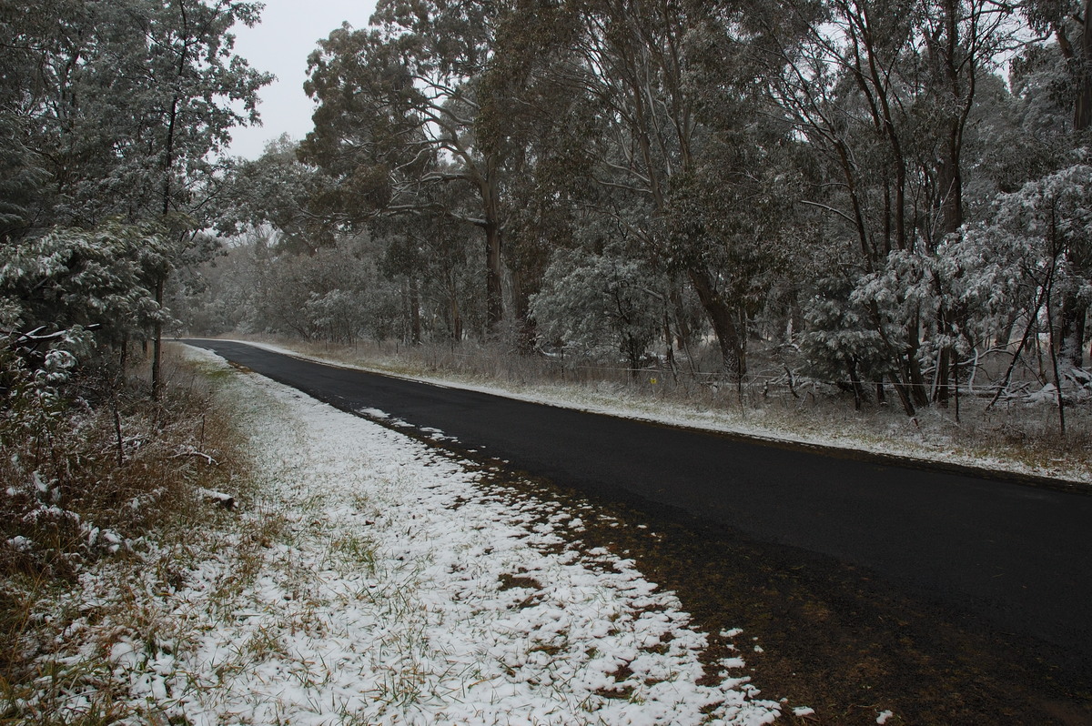 snow snow_pictures : Ben Lomond, NSW   28 June 2007