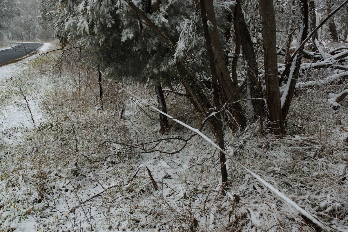 snow snow_pictures : Ben Lomond, NSW   28 June 2007