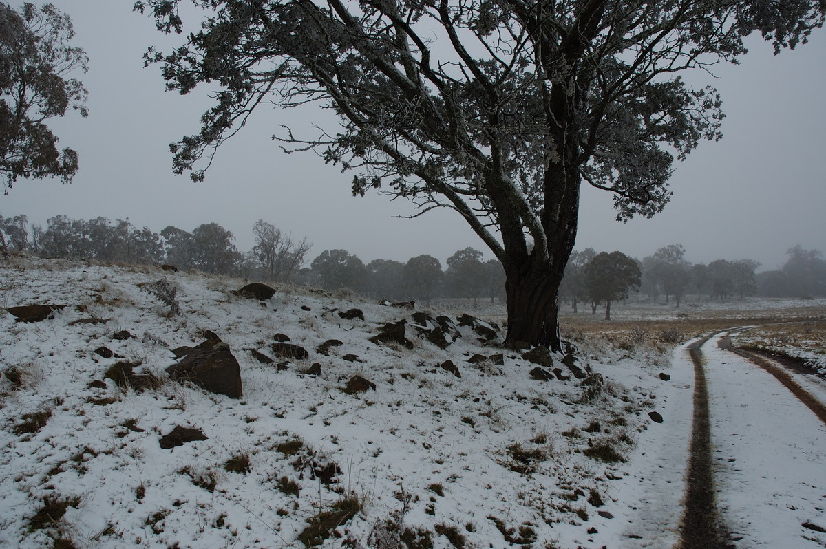 snow snow_pictures : Ben Lomond, NSW   28 June 2007