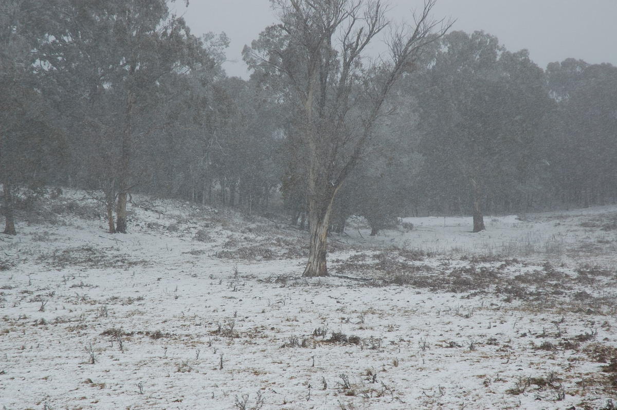 snow snow_pictures : Ben Lomond, NSW   28 June 2007