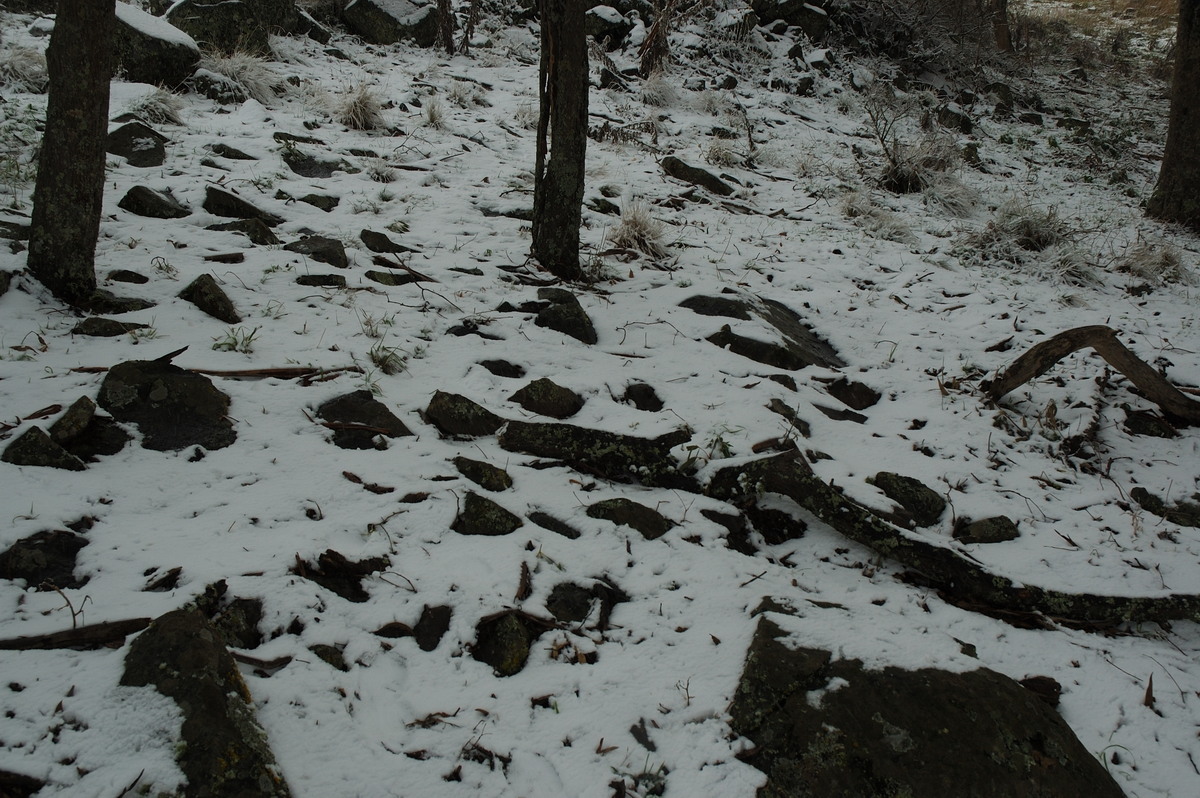 snow snow_pictures : Ben Lomond, NSW   28 June 2007