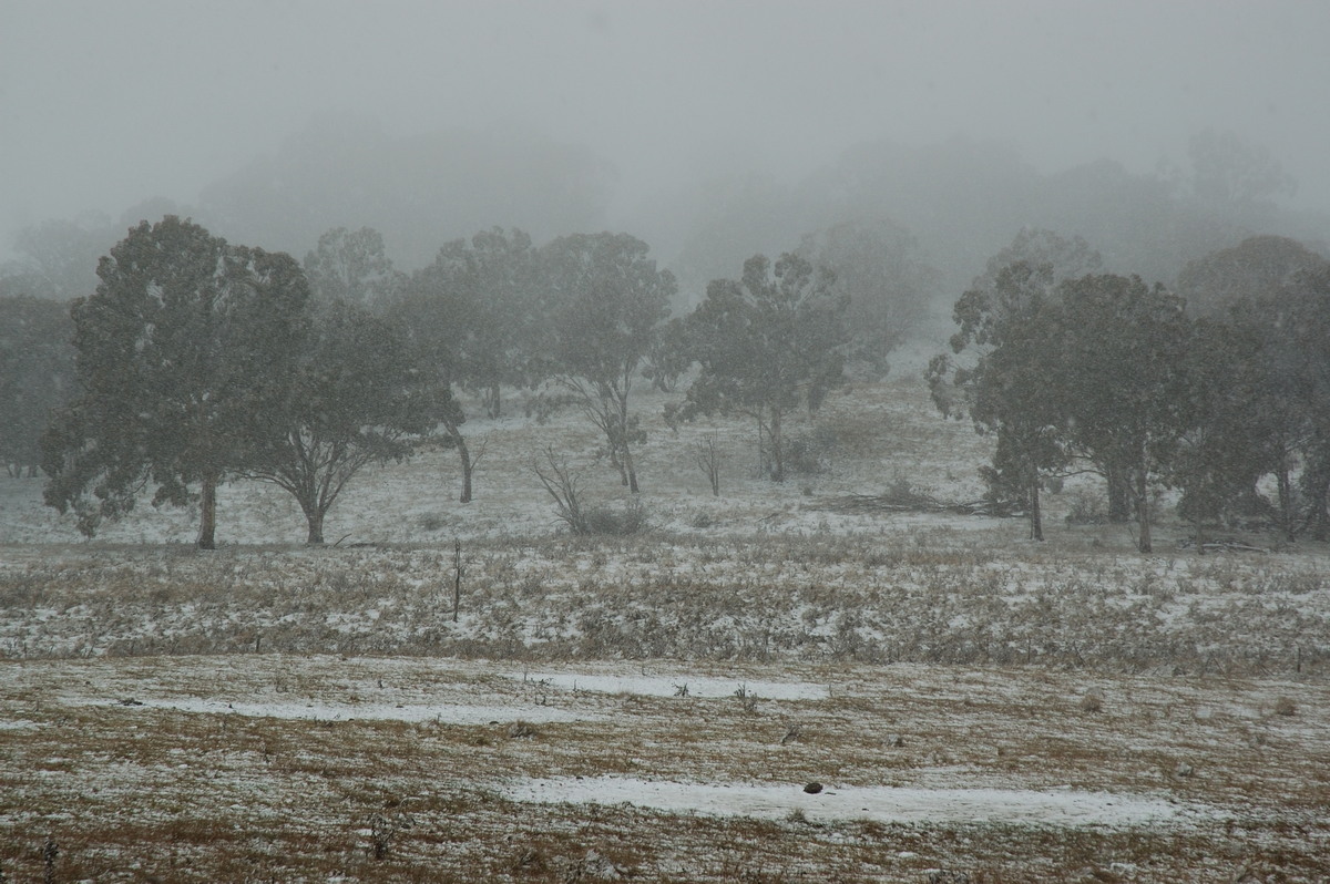 precipitation precipitation_rain : Ben Lomond, NSW   28 June 2007