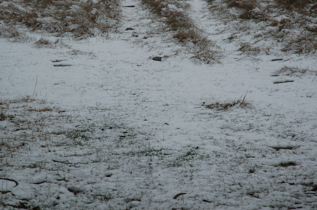 snow snow_pictures : Ben Lomond, NSW   28 June 2007