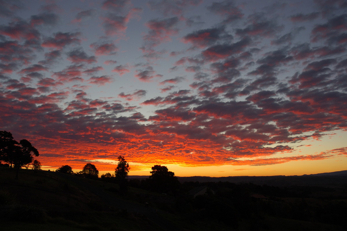 sunset sunset_pictures : McLeans Ridges, NSW   3 July 2007