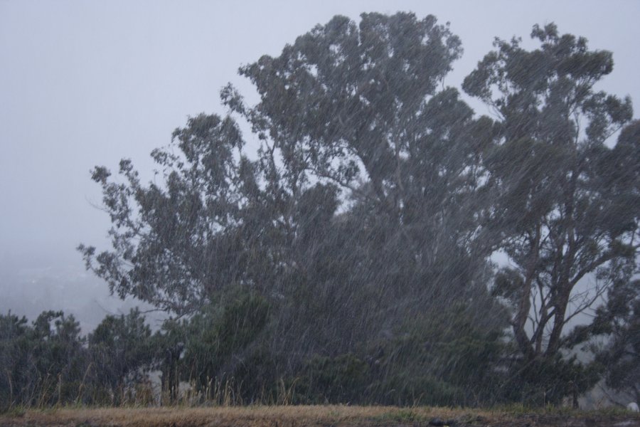 precipitation precipitation_rain : Oberon, NSW   5 July 2007