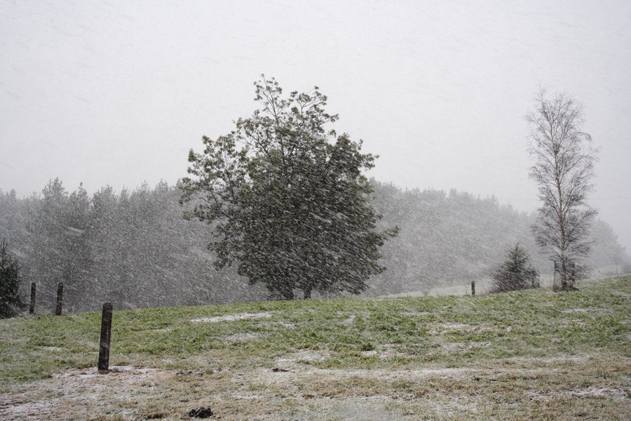 snow snow_pictures : Oberon, NSW   5 July 2007