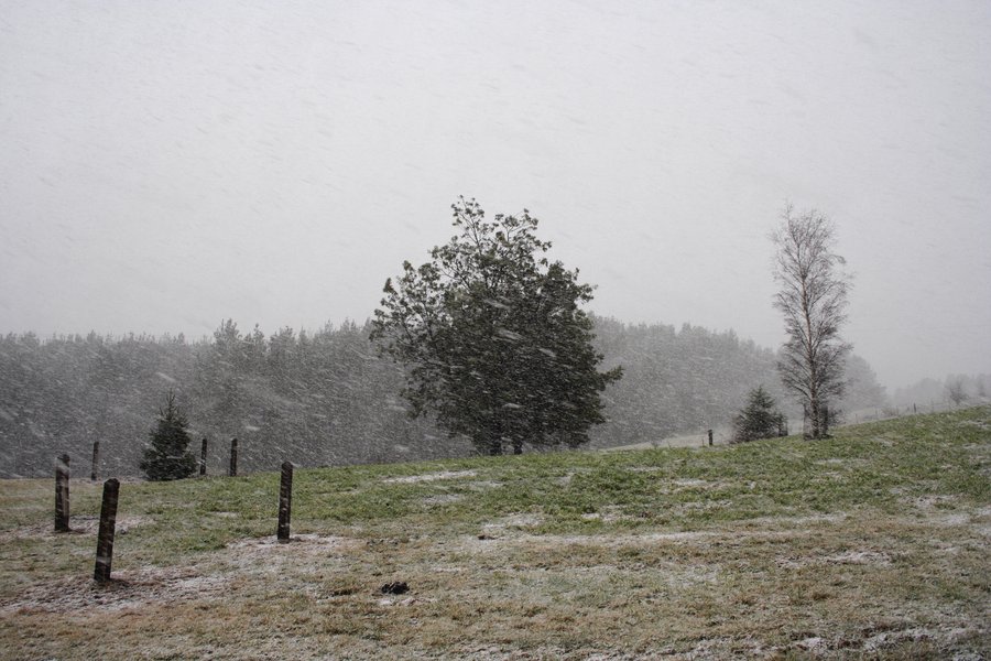 snow snow_pictures : Oberon, NSW   5 July 2007