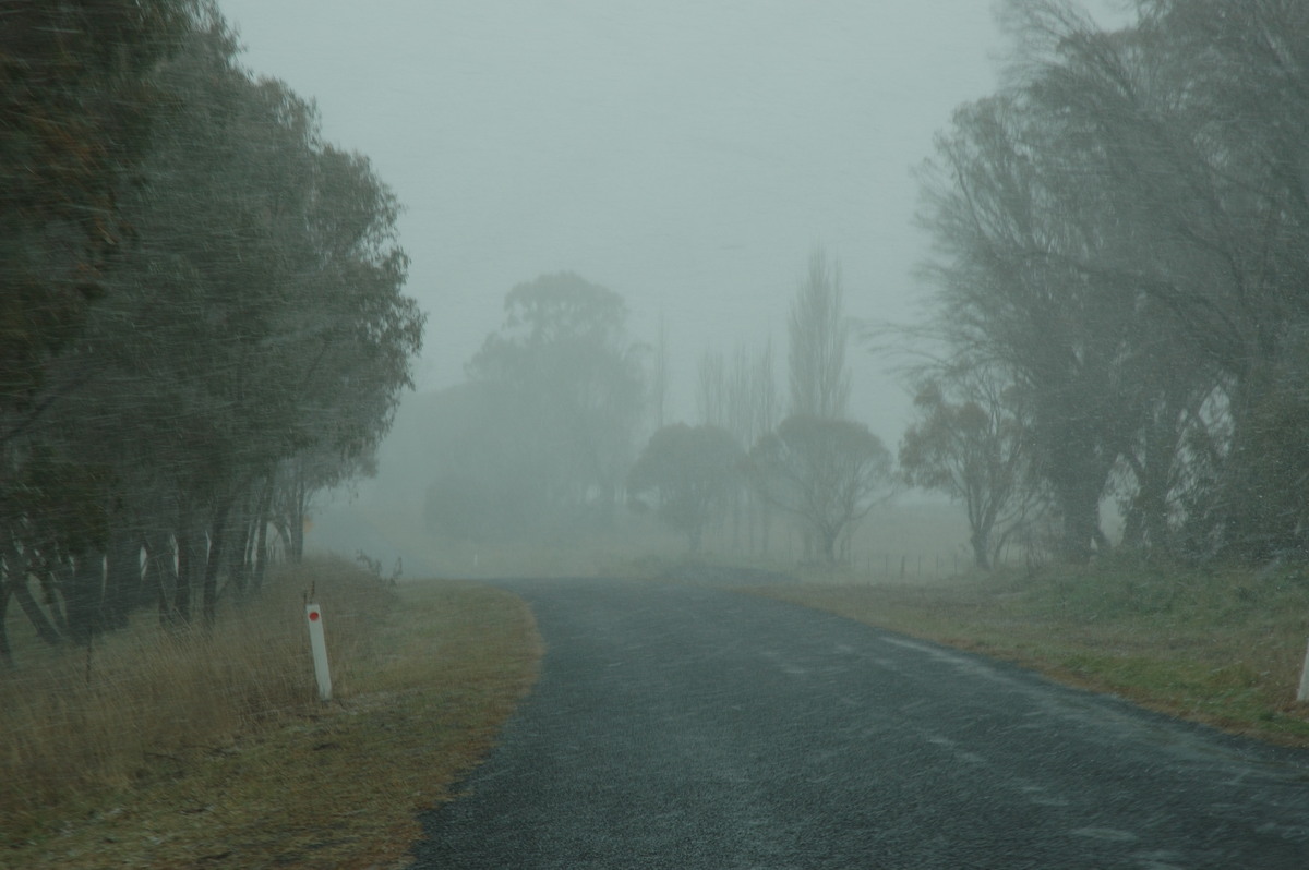 precipitation precipitation_rain : Ben Lomond, NSW   8 July 2007