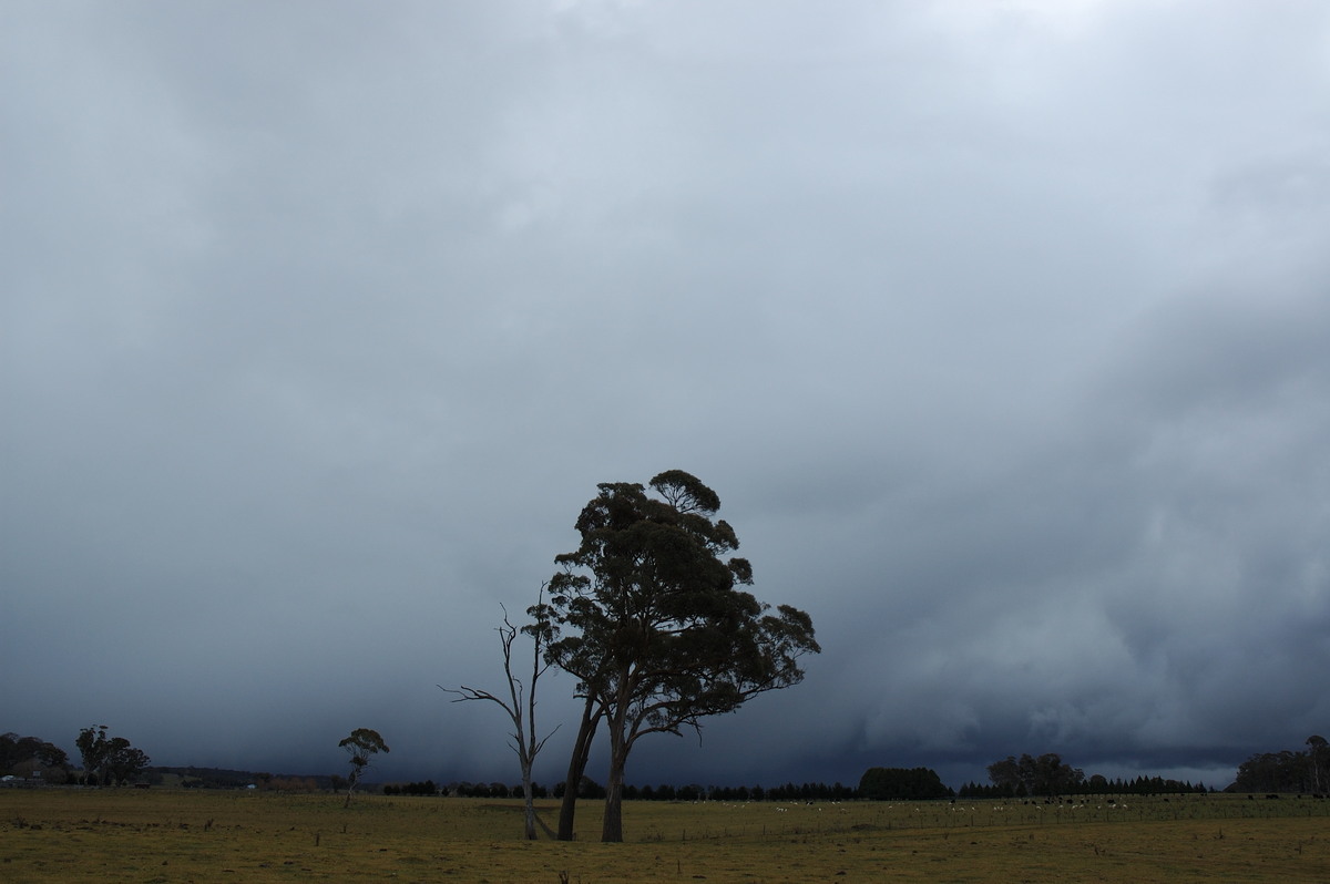 raincascade precipitation_cascade : near Ben Lomond, NSW   8 July 2007