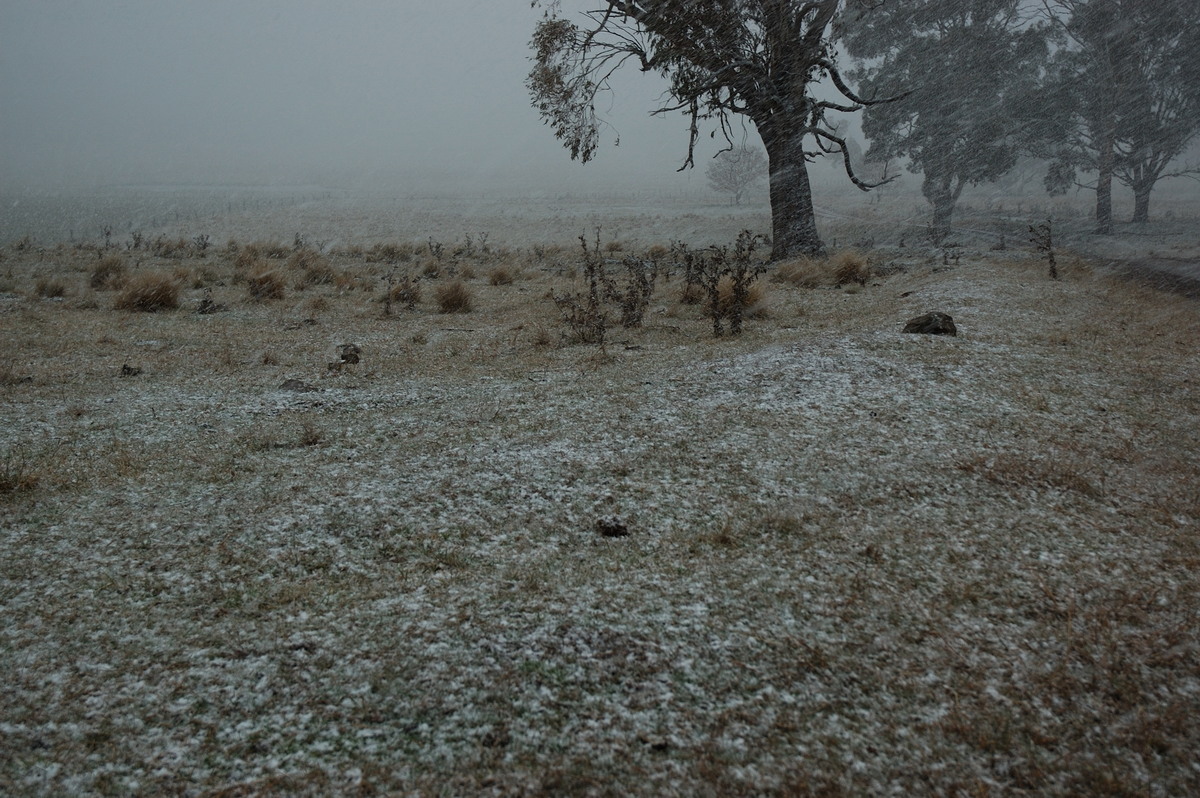 precipitation precipitation_rain : near Ben Lomond, NSW   8 July 2007