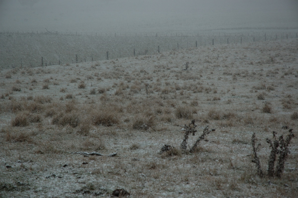 precipitation precipitation_rain : near Ben Lomond, NSW   8 July 2007