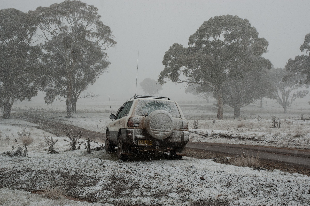 precipitation precipitation_rain : near Ben Lomond, NSW   8 July 2007