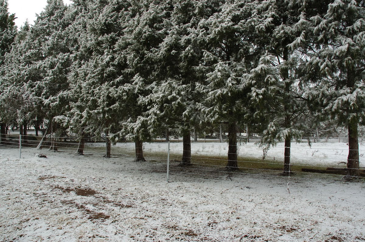 snow snow_pictures : near Ben Lomond, NSW   8 July 2007