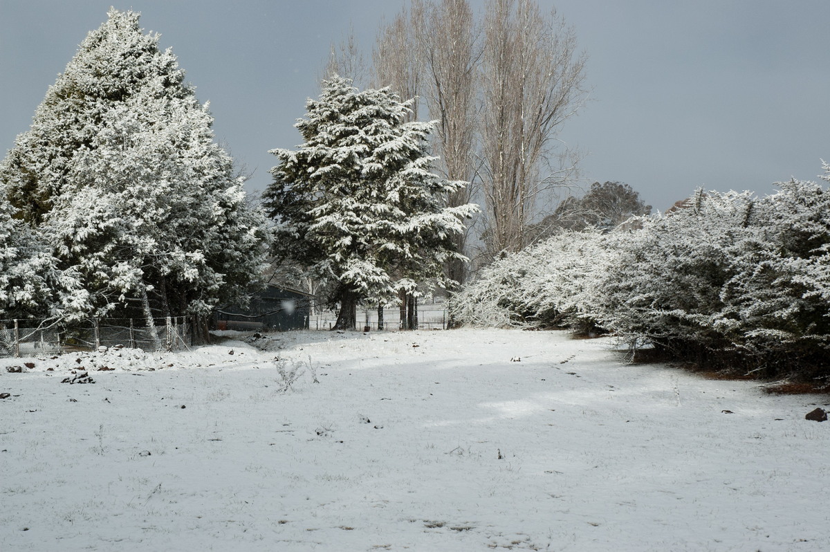 snow snow_pictures : near Ben Lomond, NSW   8 July 2007