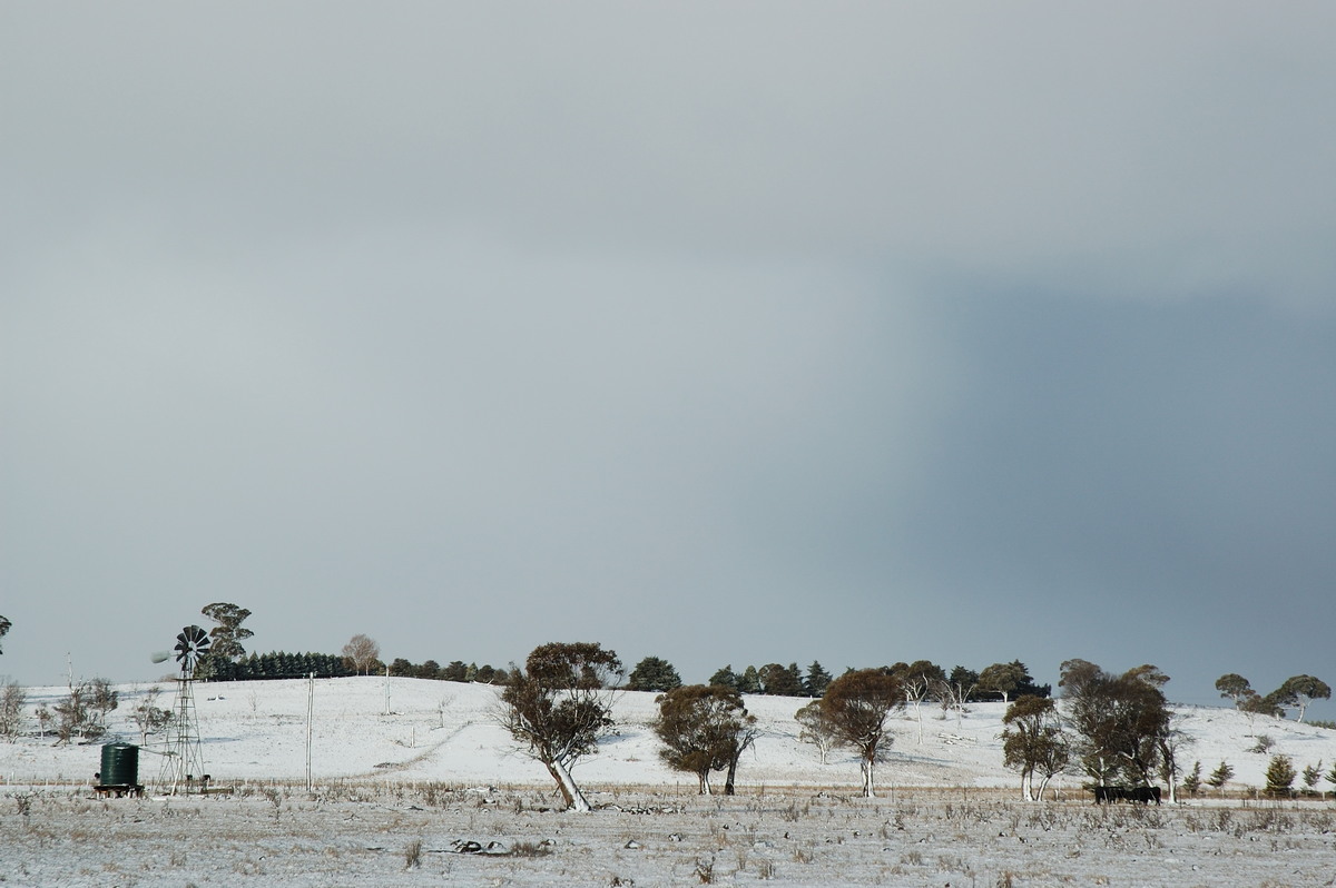 snow snow_pictures : near Ben Lomond, NSW   8 July 2007