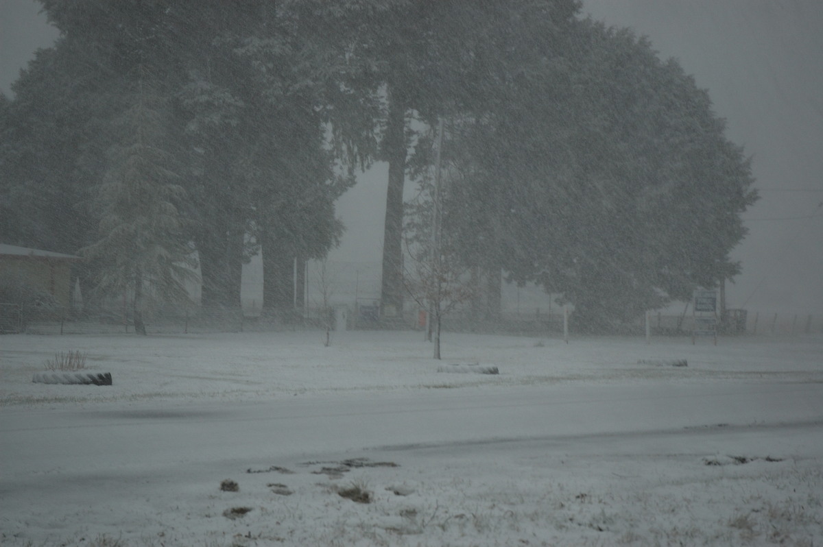 precipitation precipitation_rain : Ben Lomond, NSW   8 July 2007