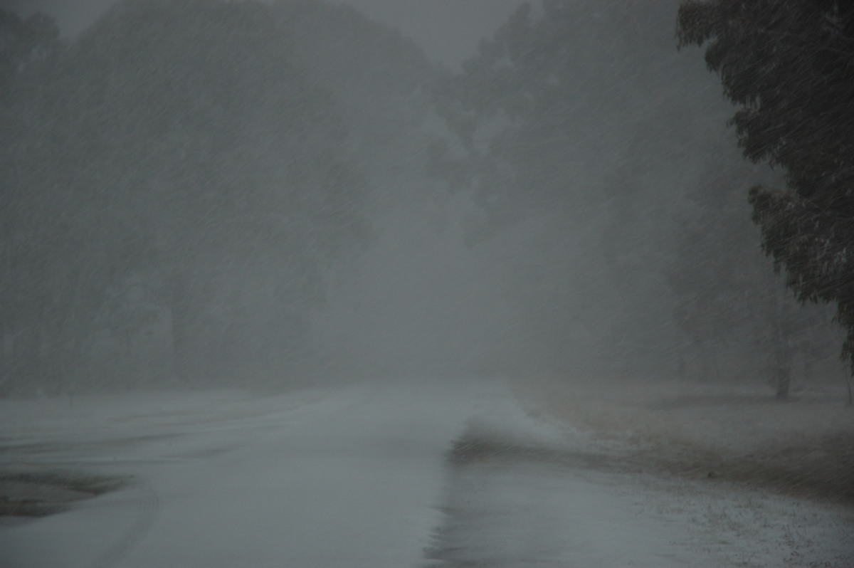 snow snow_pictures : Ben Lomond, NSW   8 July 2007