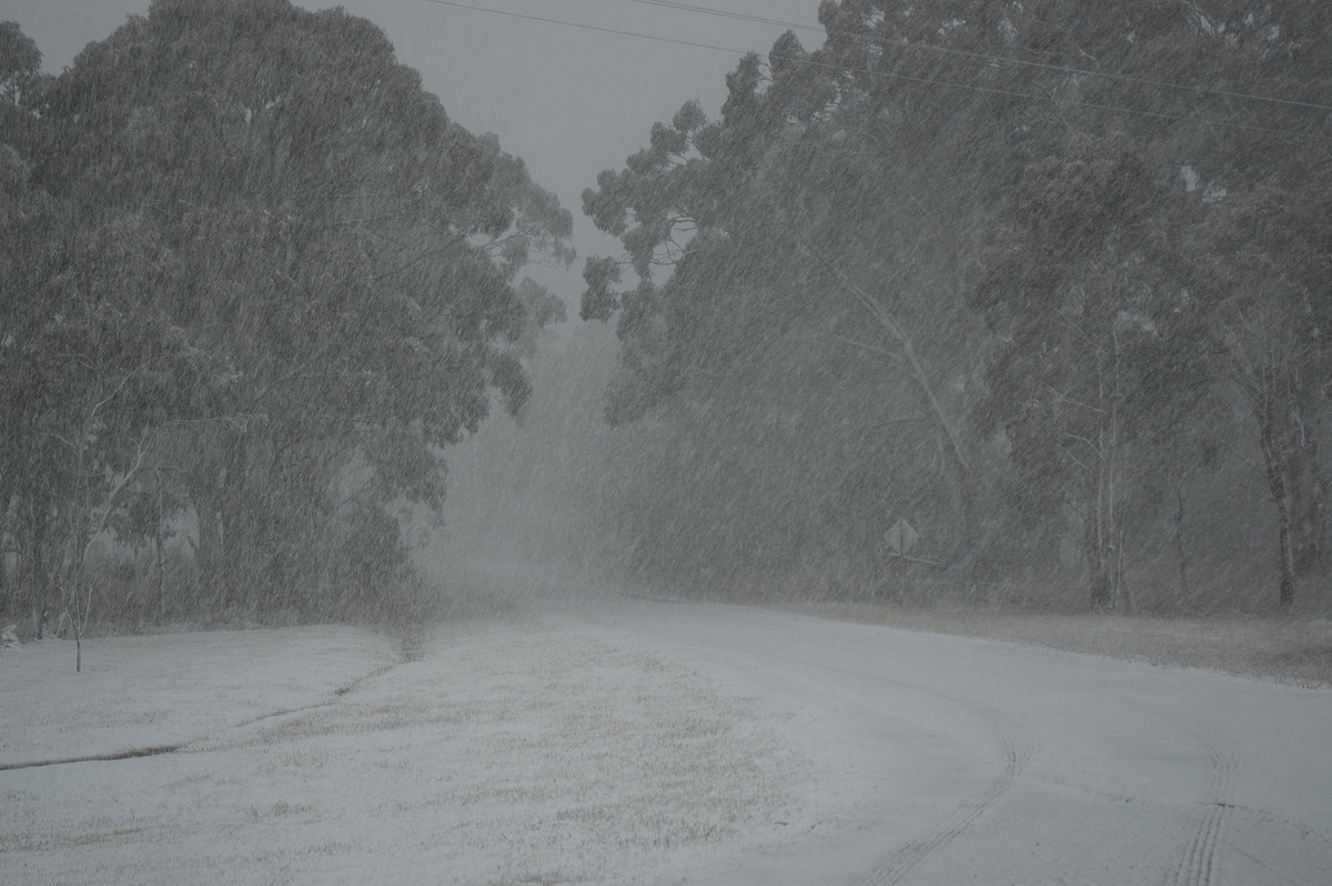 precipitation precipitation_rain : Ben Lomond, NSW   8 July 2007