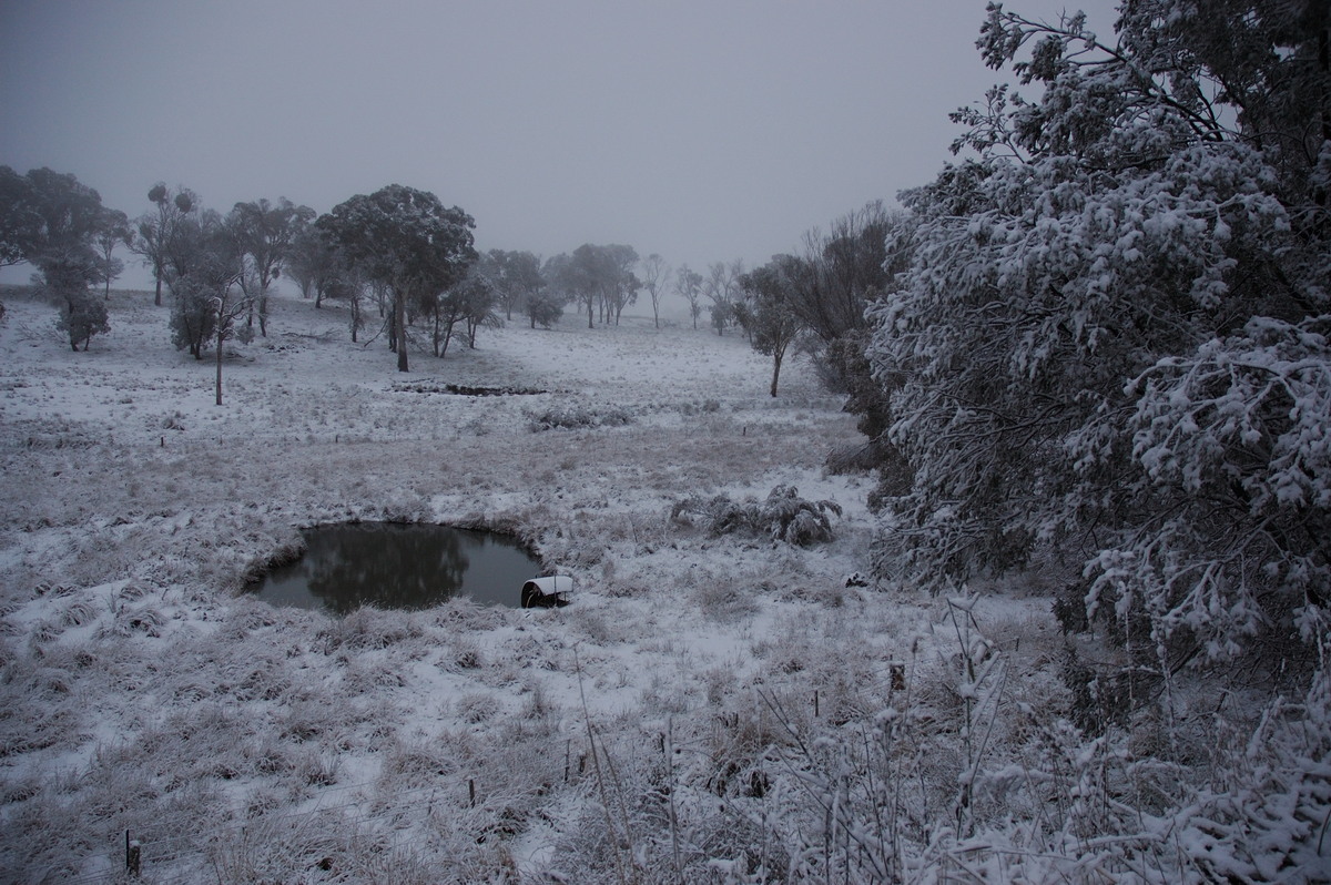 snow snow_pictures : Ben Lomond, NSW   8 July 2007