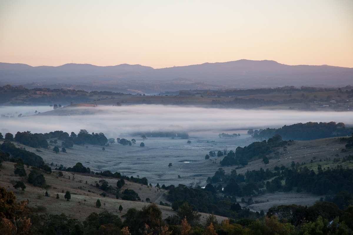 favourites michael_bath : McLeans Ridges, NSW   16 July 2007