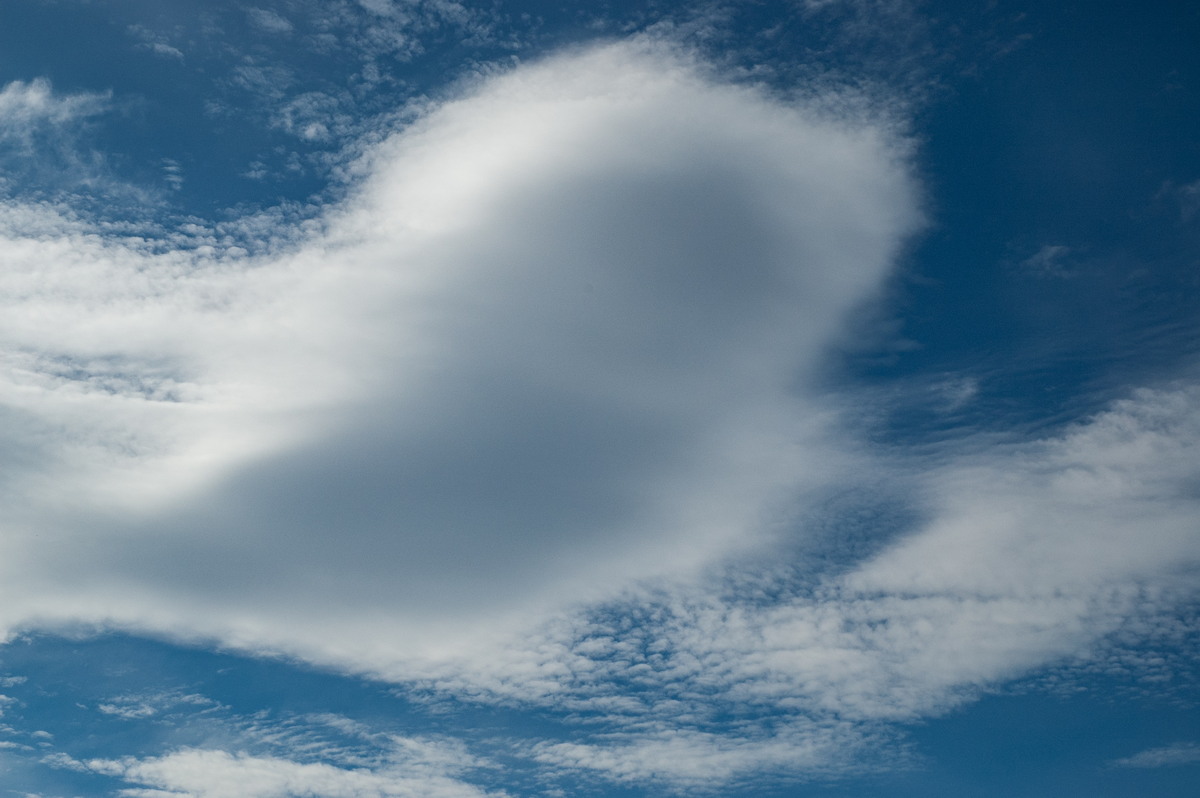 altocumulus lenticularis : McLeans Ridges, NSW   29 July 2007