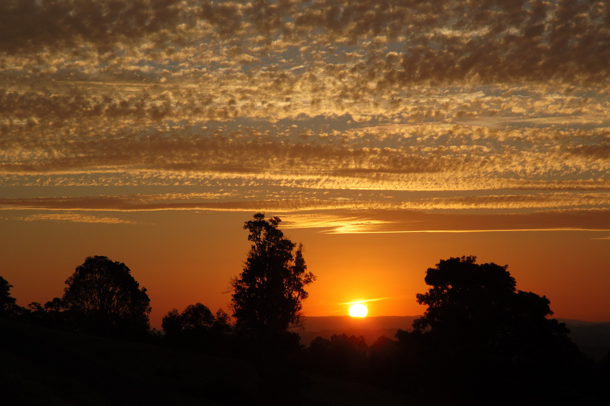 sunset sunset_pictures : McLeans Ridges, NSW   1 August 2007