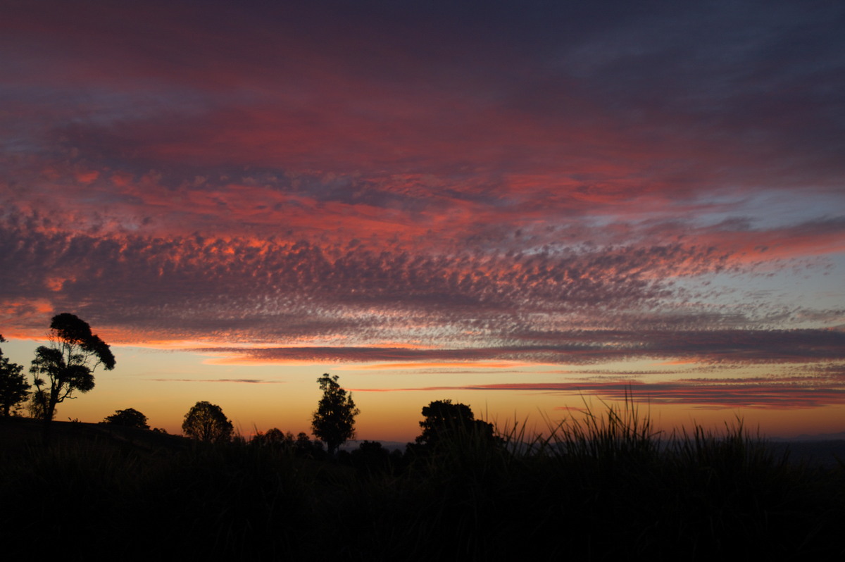 sunset sunset_pictures : McLeans Ridges, NSW   1 August 2007