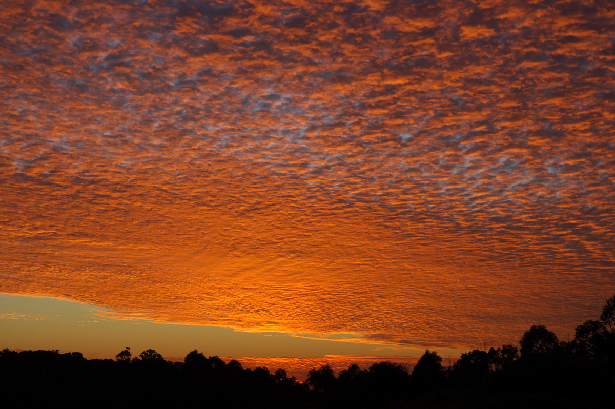 altocumulus mackerel_sky : McLeans Ridges, NSW   2 August 2007