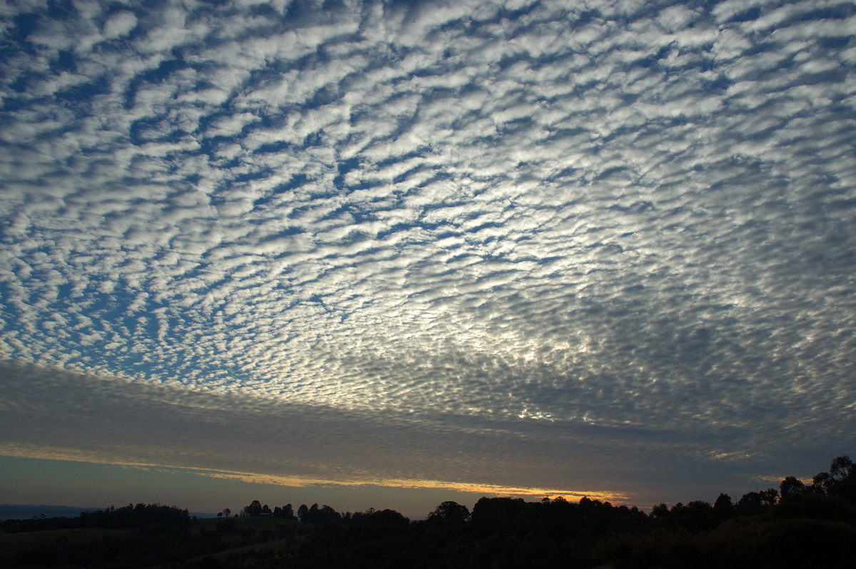 altocumulus mackerel_sky : McLeans Ridges, NSW   2 August 2007