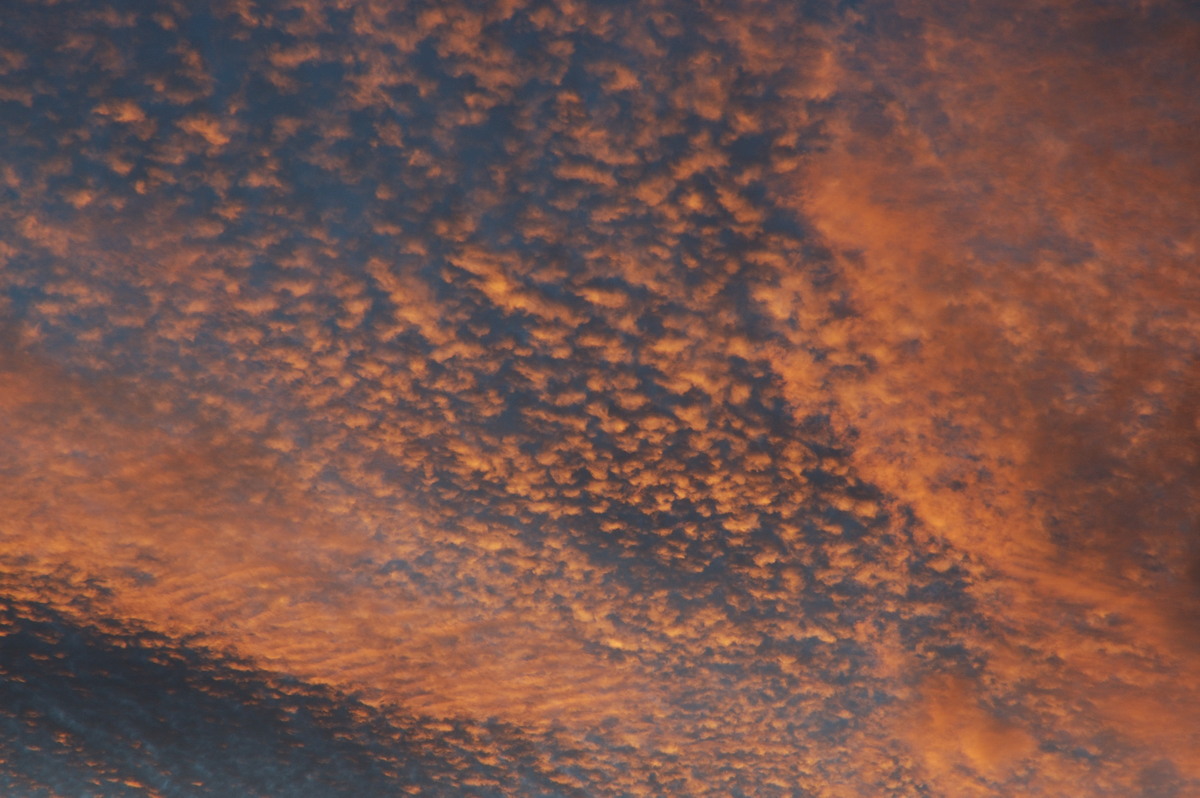 altocumulus altocumulus_cloud : McLeans Ridges, NSW   12 August 2007