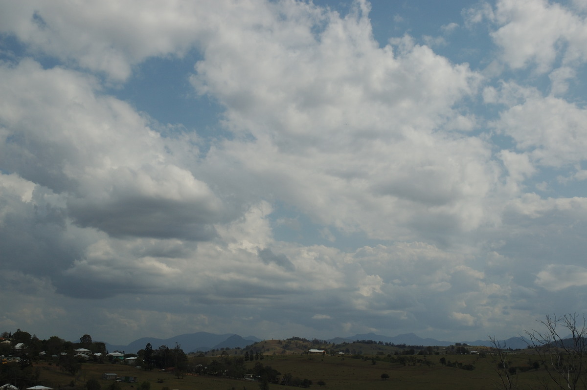 cumulus mediocris : Boonah, QLD   22 September 2007