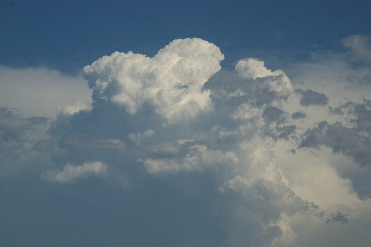 updraft thunderstorm_updrafts : near Lismore, NSW   6 October 2007