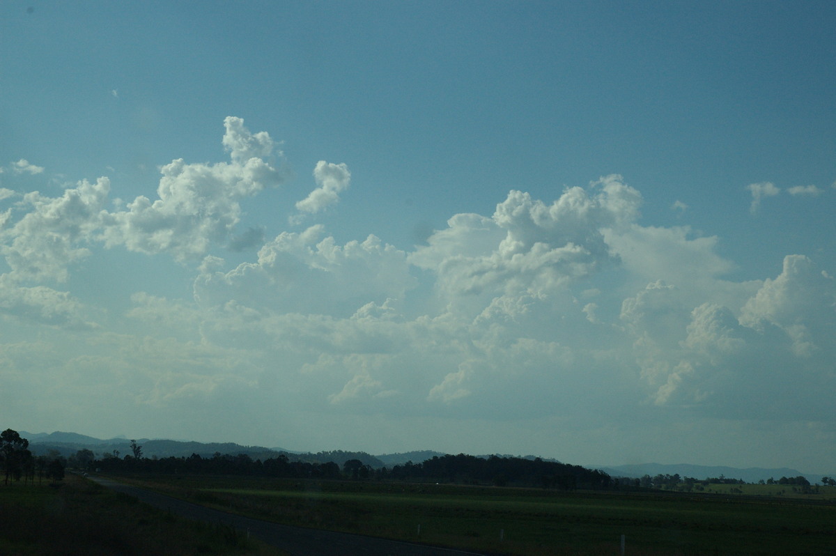 cumulus congestus : near Kyogle, NSW   6 October 2007