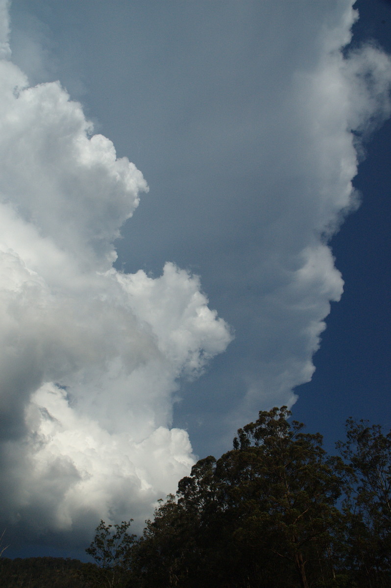 updraft thunderstorm_updrafts : Border Ranges, NSW   6 October 2007