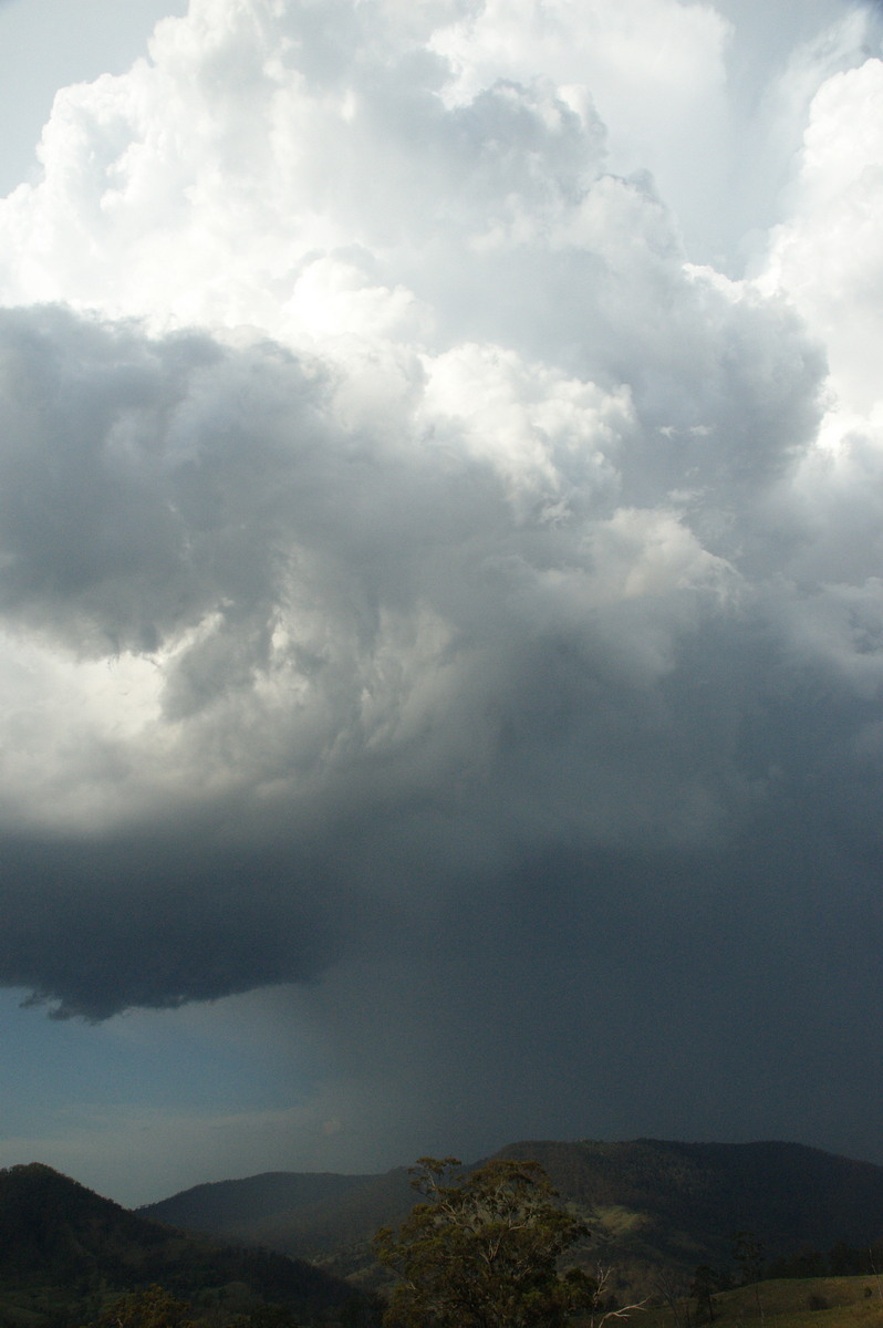 updraft thunderstorm_updrafts : Border Ranges, NSW   6 October 2007