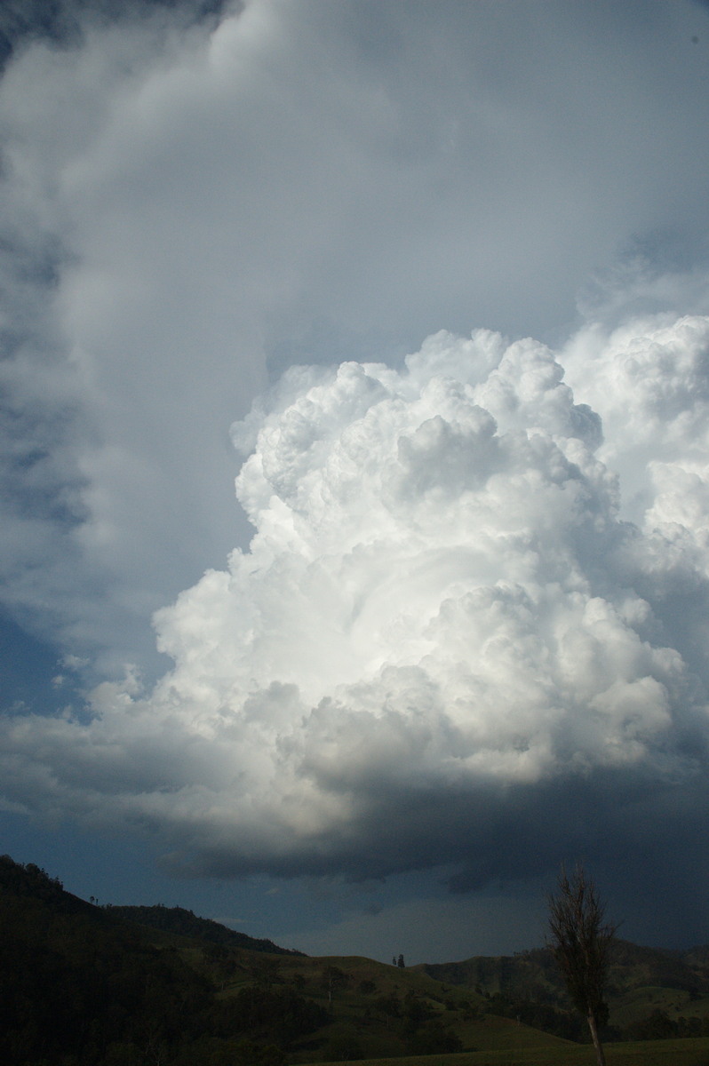 anvil thunderstorm_anvils : Border Ranges, NSW   6 October 2007