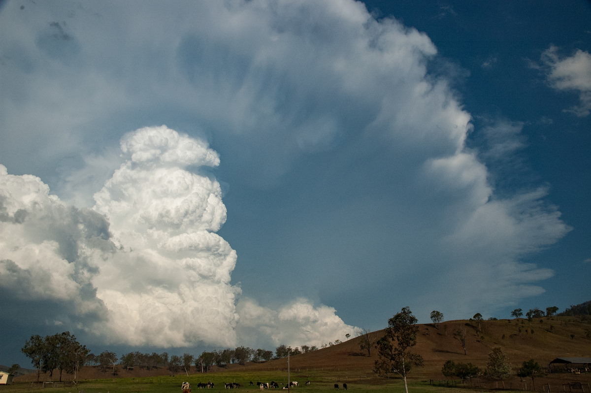 updraft thunderstorm_updrafts : near Rathdowney, QLD   6 October 2007