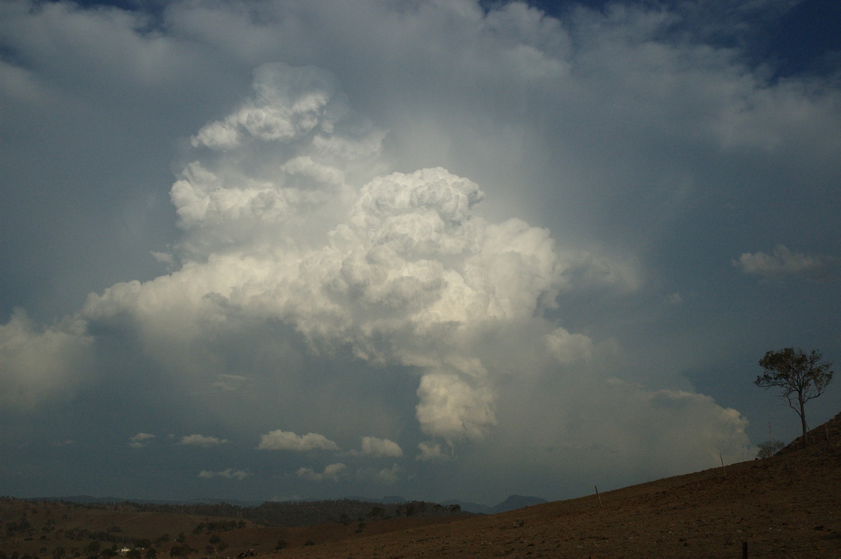 updraft thunderstorm_updrafts : near Rathdowney, QLD   6 October 2007