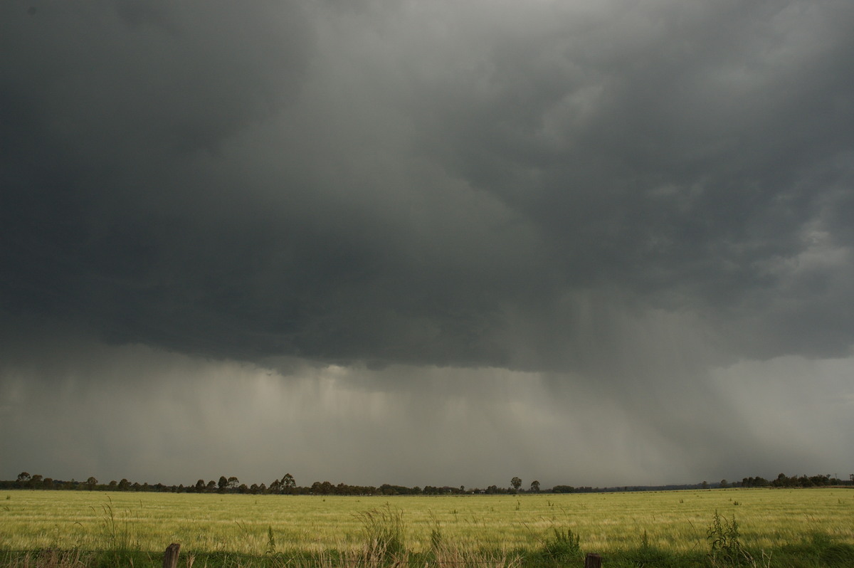 raincascade precipitation_cascade : N of Casino, NSW   7 October 2007