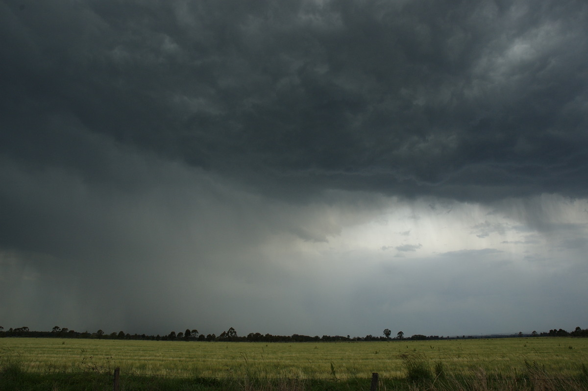 raincascade precipitation_cascade : N of Casino, NSW   7 October 2007