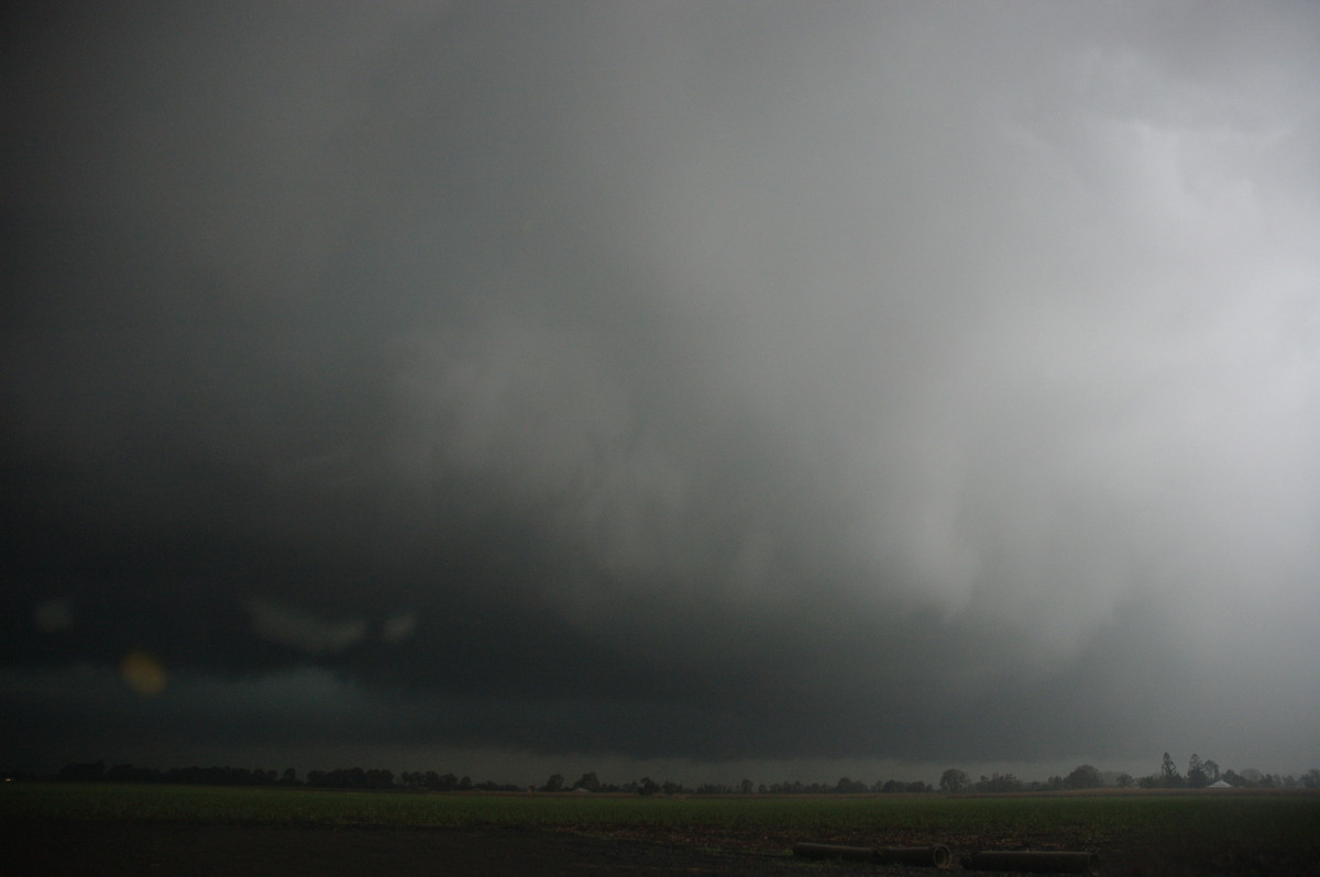 cumulonimbus thunderstorm_base : near Coraki, NSW   8 October 2007