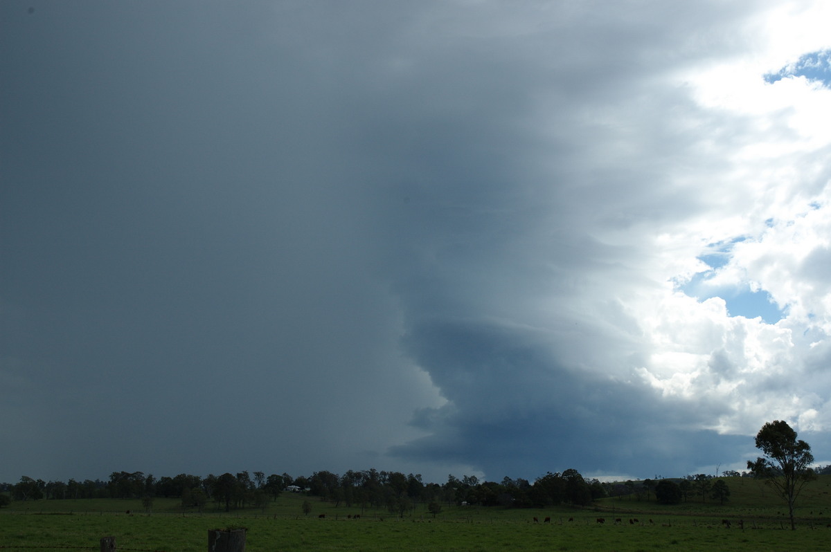 updraft thunderstorm_updrafts : NW of Casino, NSW   11 October 2007