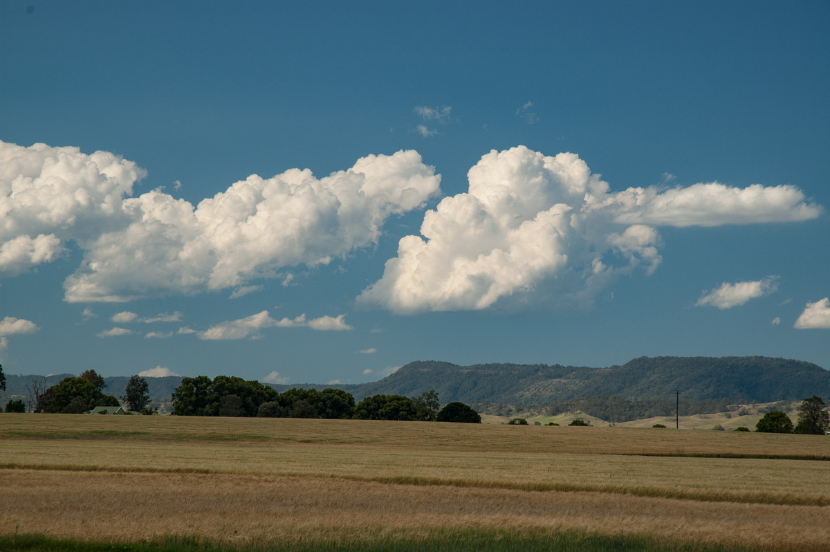 cumulus mediocris : N of Casino, NSW   12 October 2007