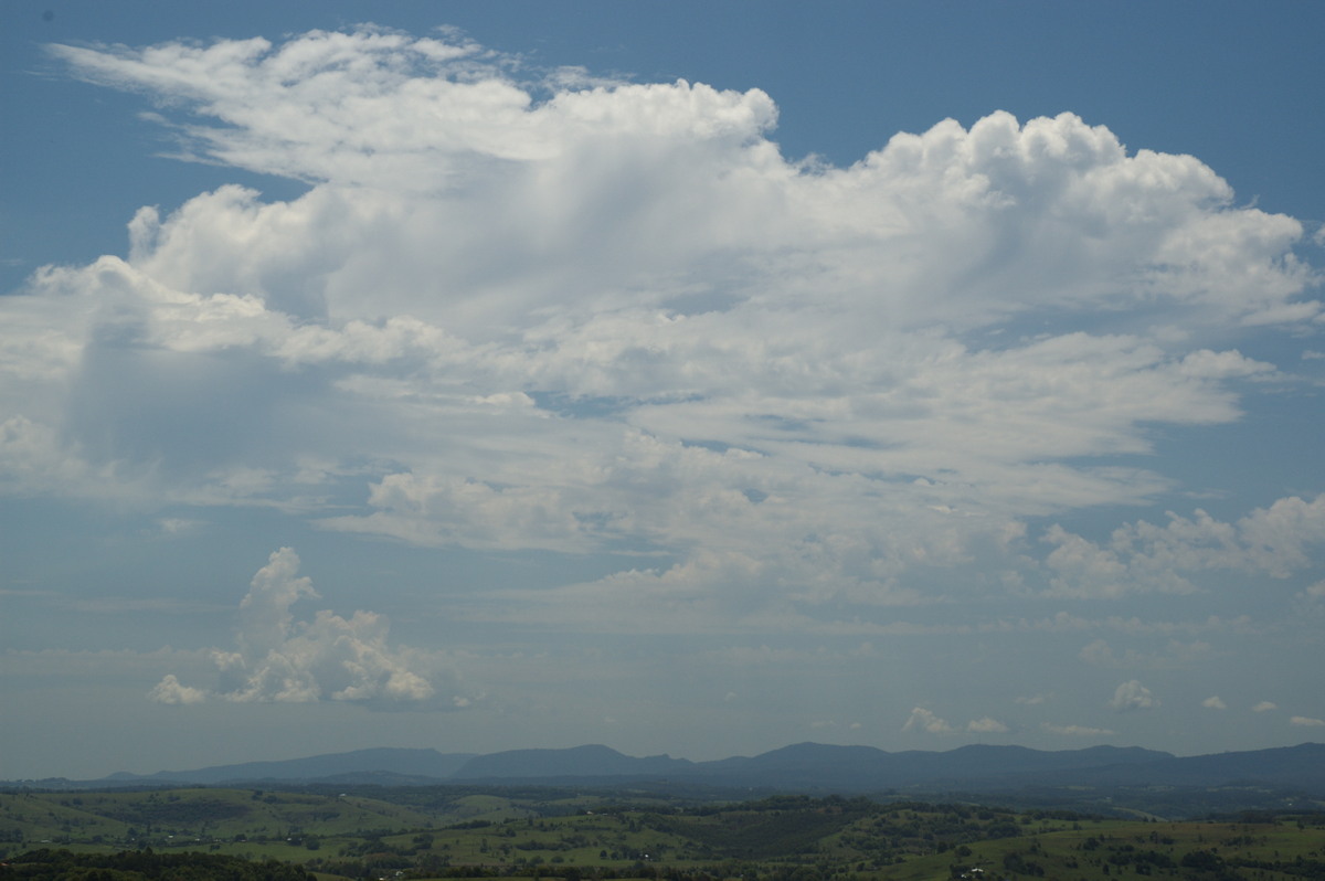 altocumulus castellanus : McLeans Ridges, NSW   24 October 2007