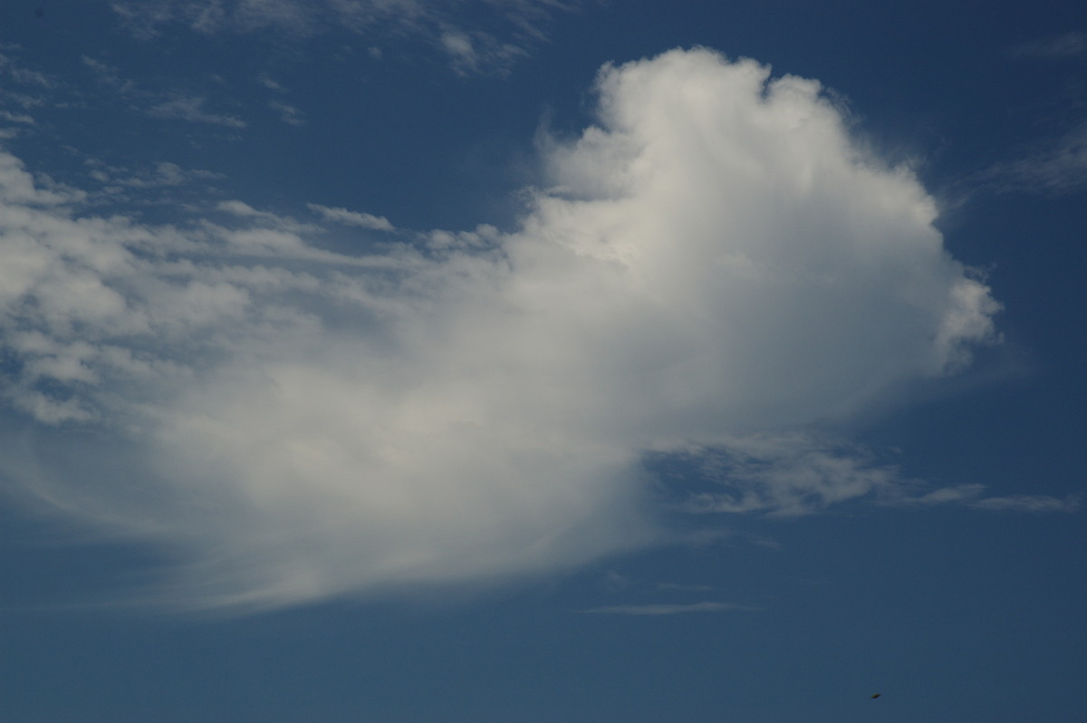 virga virga_pictures : McLeans Ridges, NSW   24 October 2007