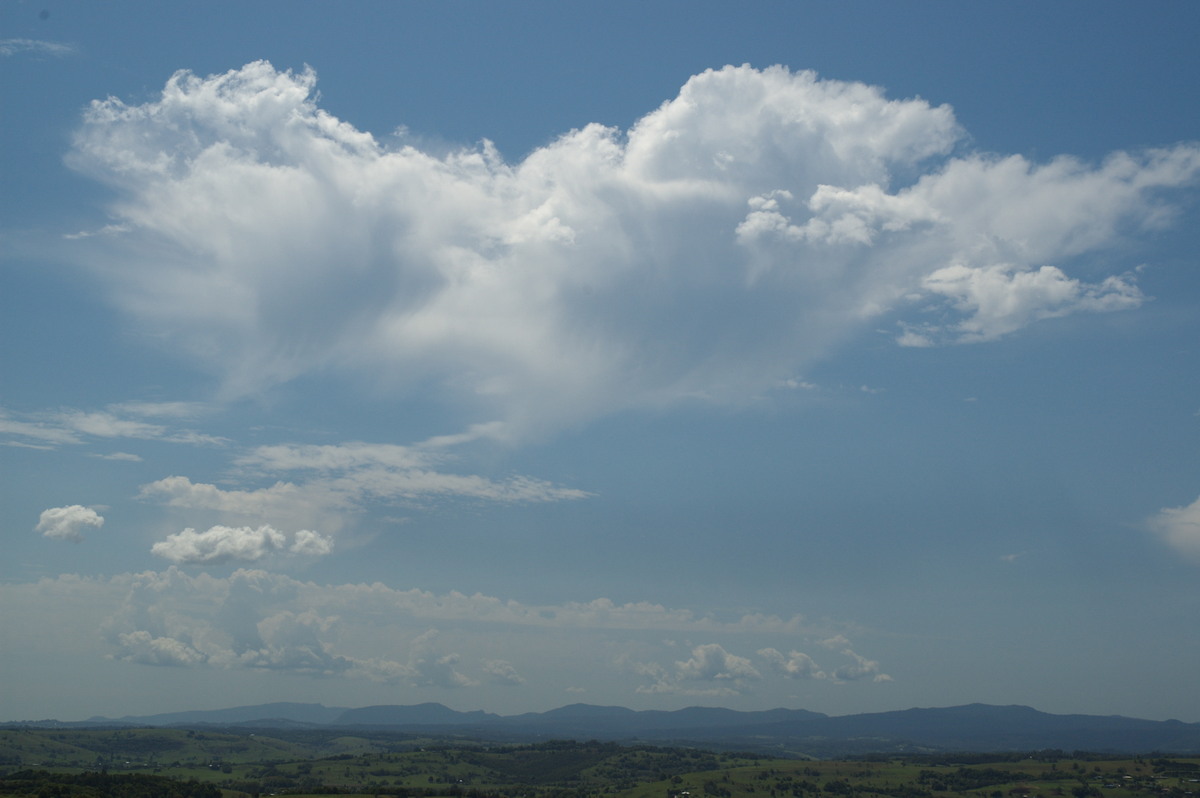 altocumulus castellanus : McLeans Ridges, NSW   24 October 2007