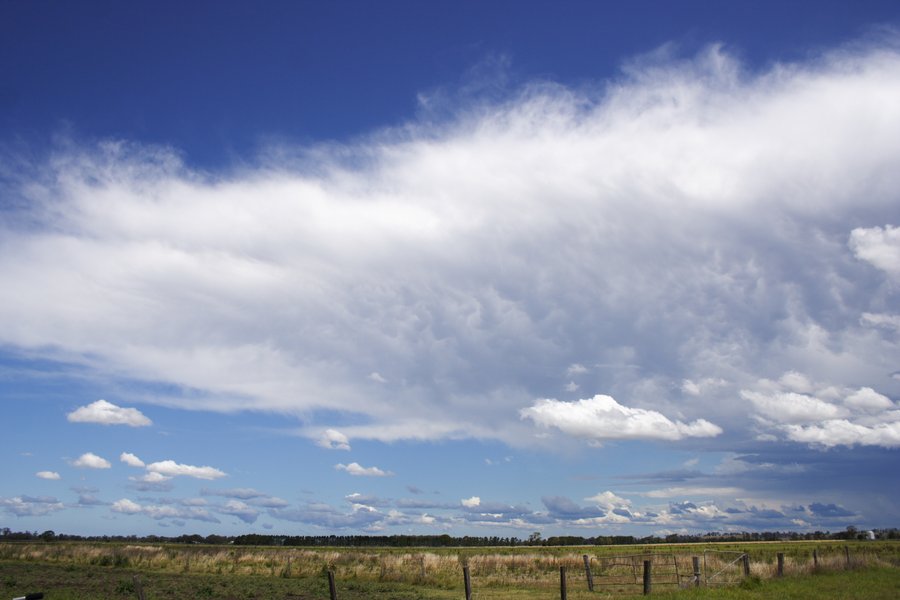 anvil thunderstorm_anvils : Casino, NSW   26 October 2007