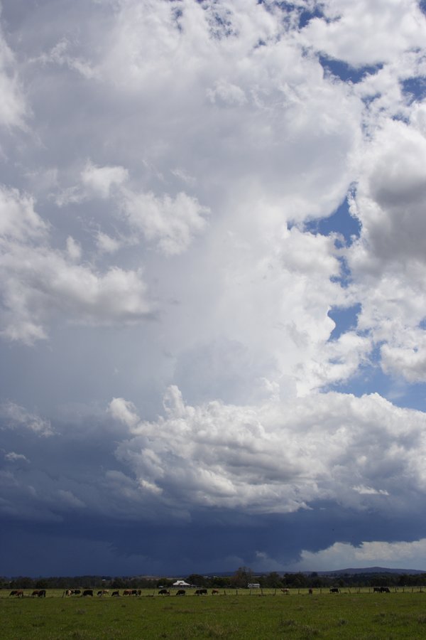 thunderstorm cumulonimbus_incus : Casino, NSW   26 October 2007