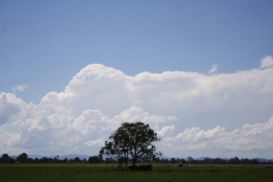 thunderstorm cumulonimbus_incus : Casino, NSW   26 October 2007